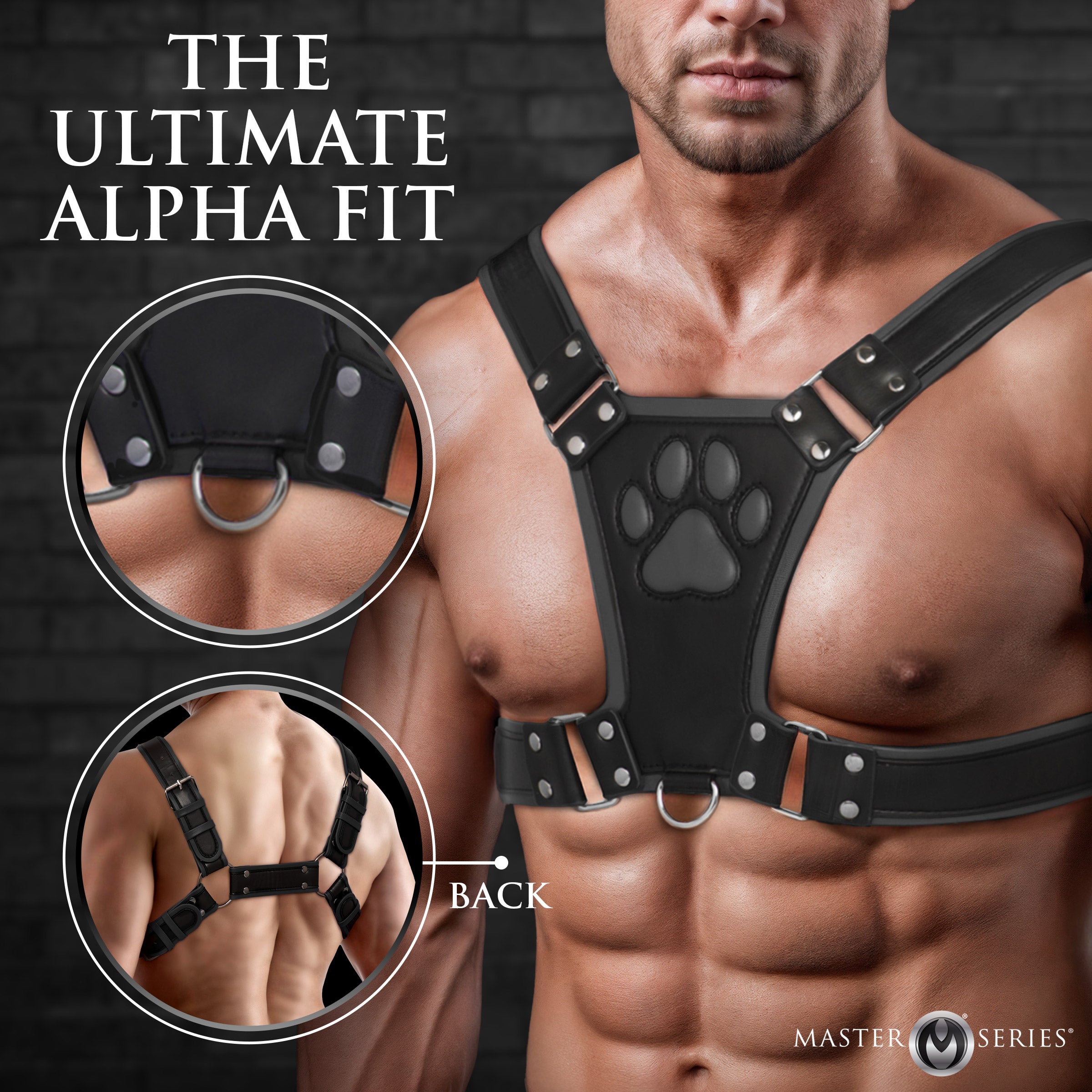 Alpha Pup Bulldog Harness - Black