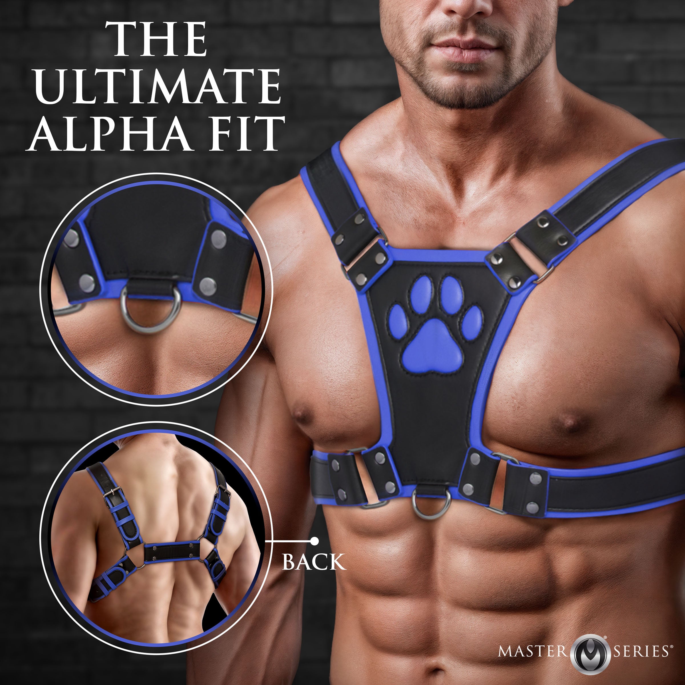Alpha Pup Bulldog Harness - Blue