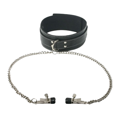 Coveted Collar and Clamp Union