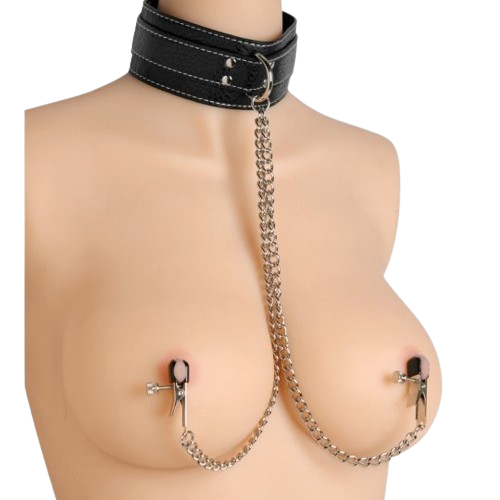 Coveted Collar and Clamp Union