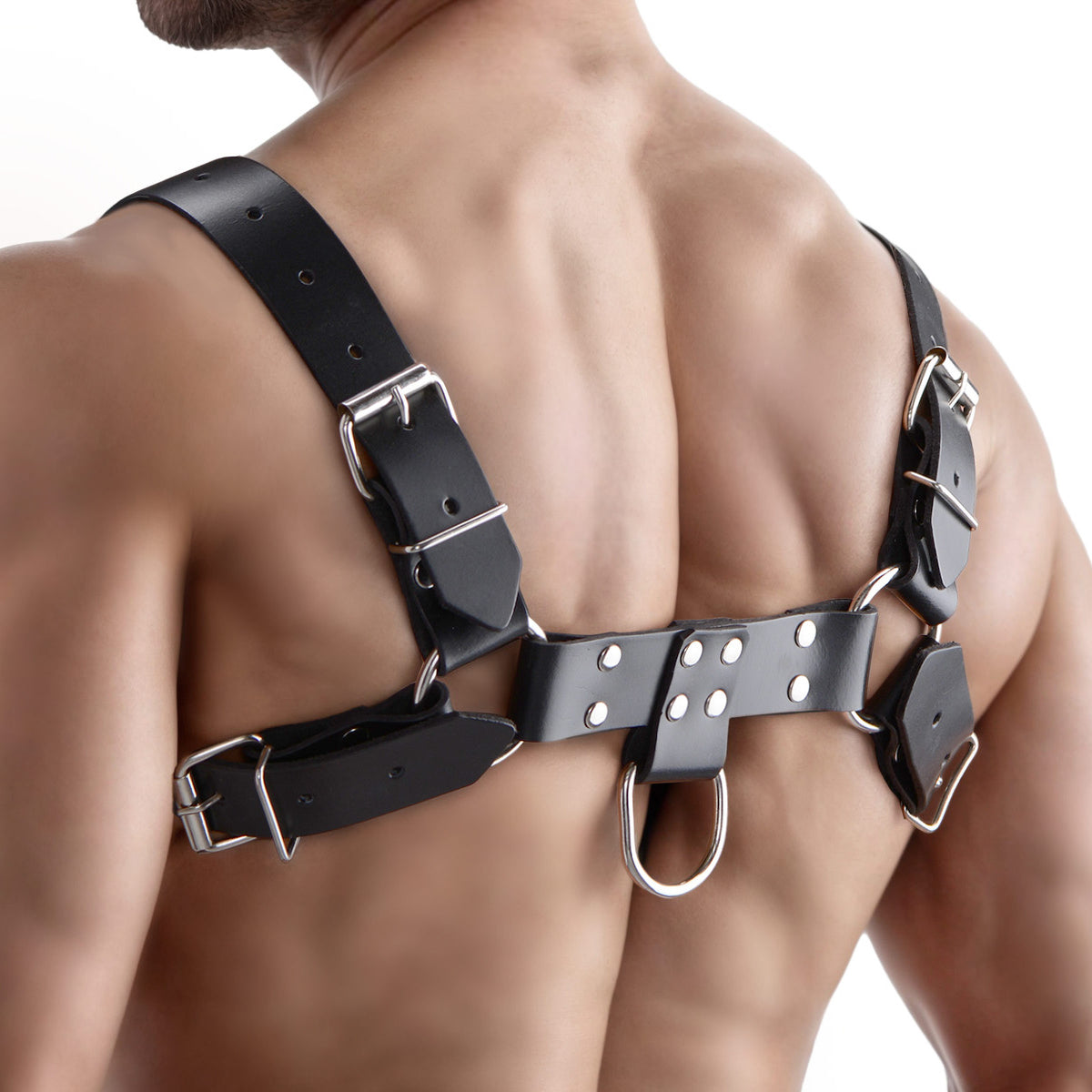English Bull Dog Harness – strap-on and harness, Metal (view 4)