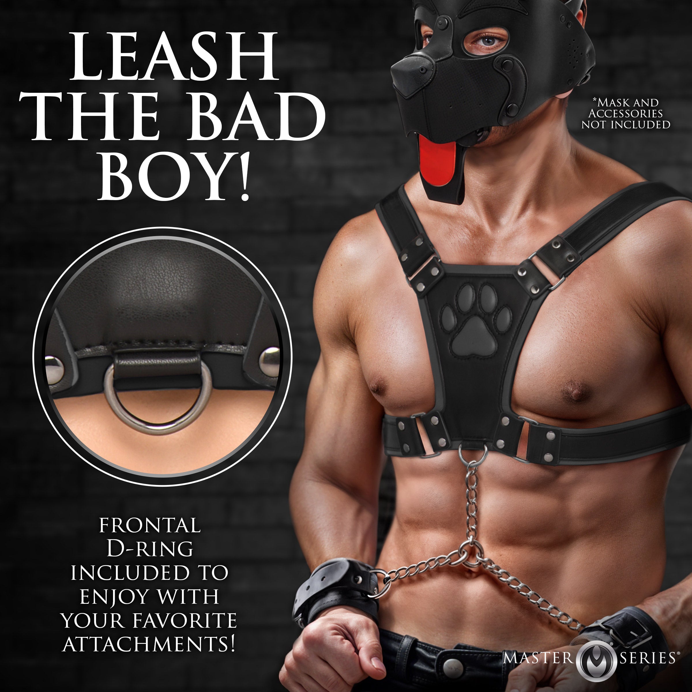 Alpha Pup Bulldog Harness - Black