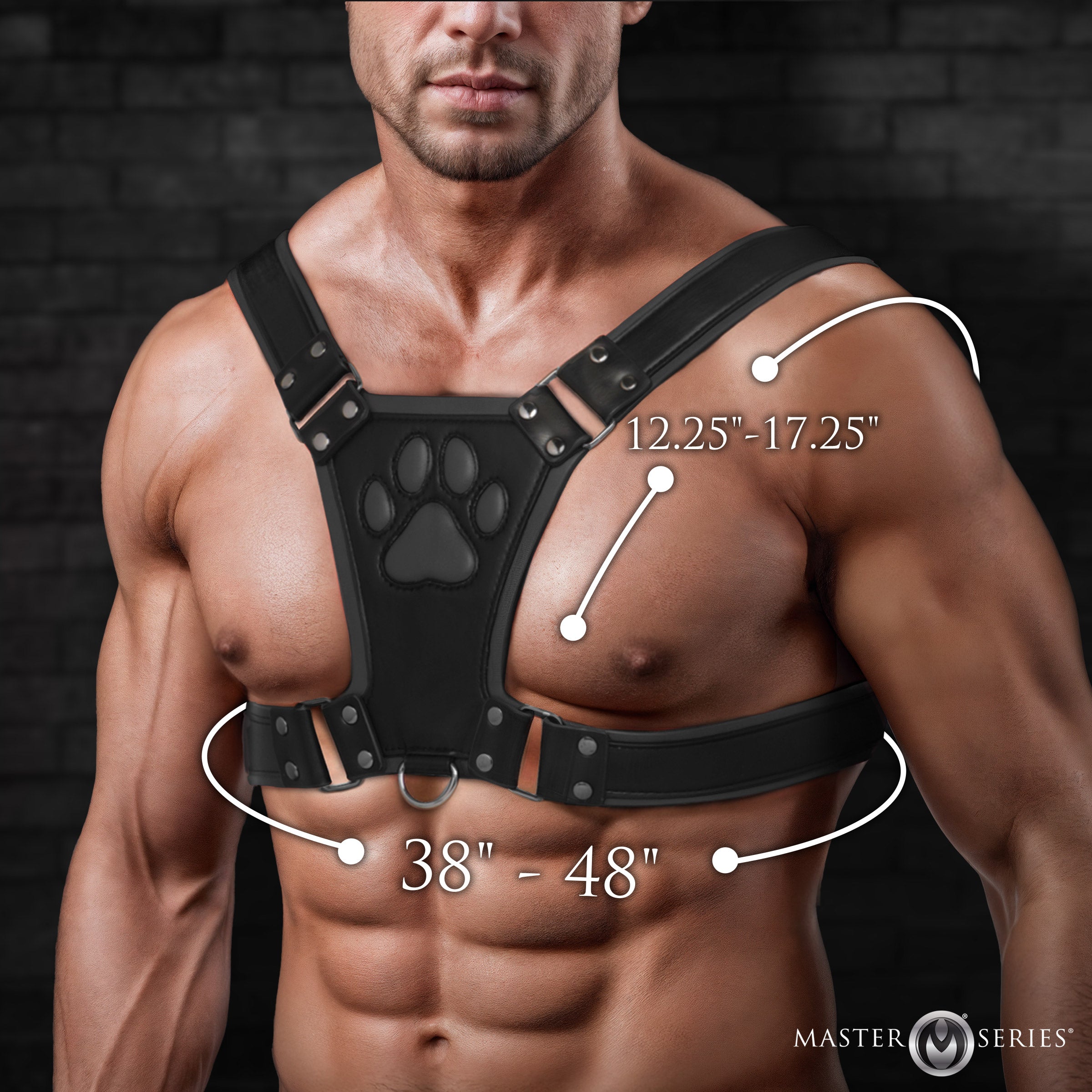 Alpha Pup Bulldog Harness - Black