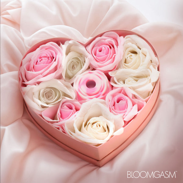 The Rose Lovers Gift Box - Pink Swirl – clitoral suction toy, Silicone
