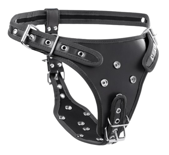 Rear view of double penetration strap on harness