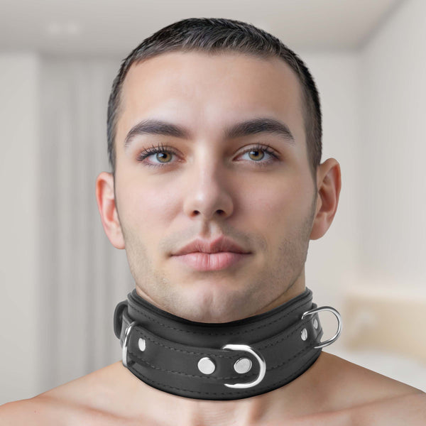 Strict Leather Premium Locking Collar – collar and leash, Metal