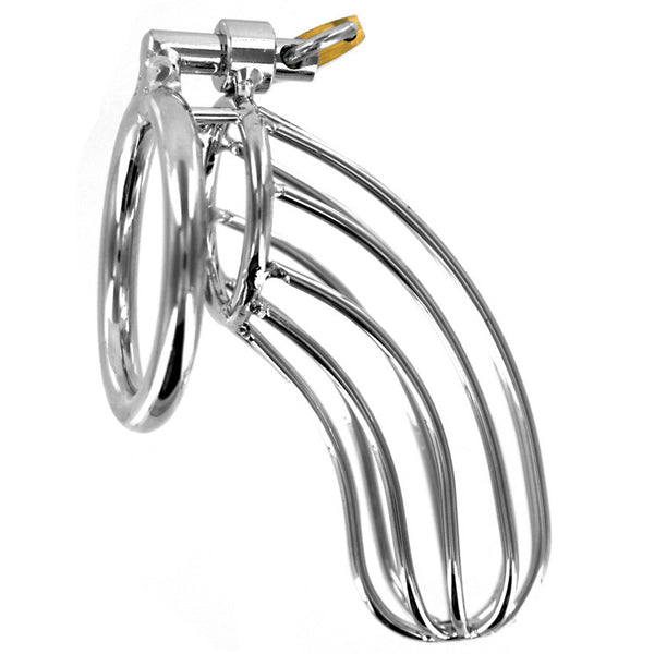 The Bird Cage Chastity Device - Large, Metal