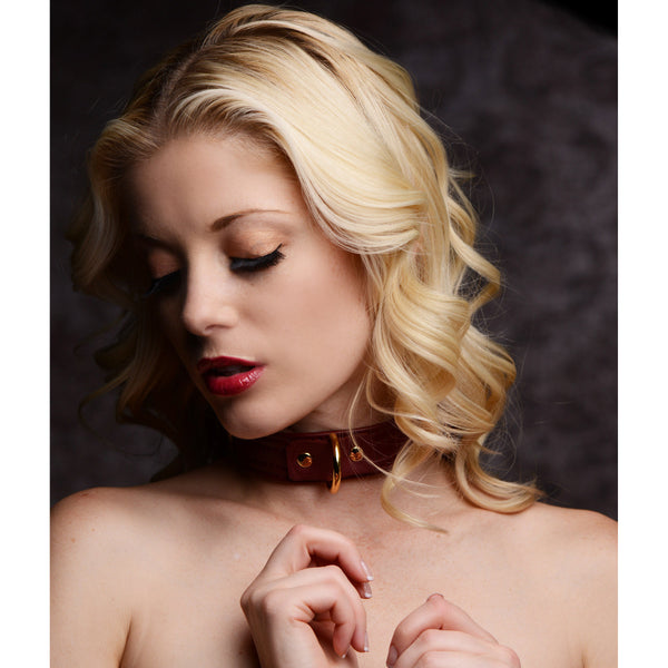 Strict Leather Luxury Burgundy Locking Collar – collar and leash, Metal
