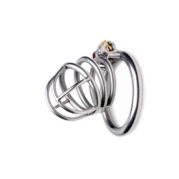 The Pen Deluxe Stainless Steel Locking Chastity Cage – chastity device, Metal
