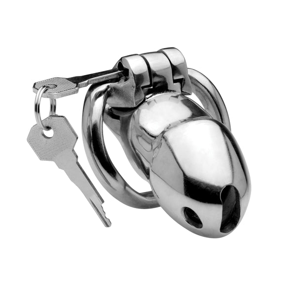 Rikers 24-7 Stainless Steel Locking Chastity Cage – chastity device, Metal