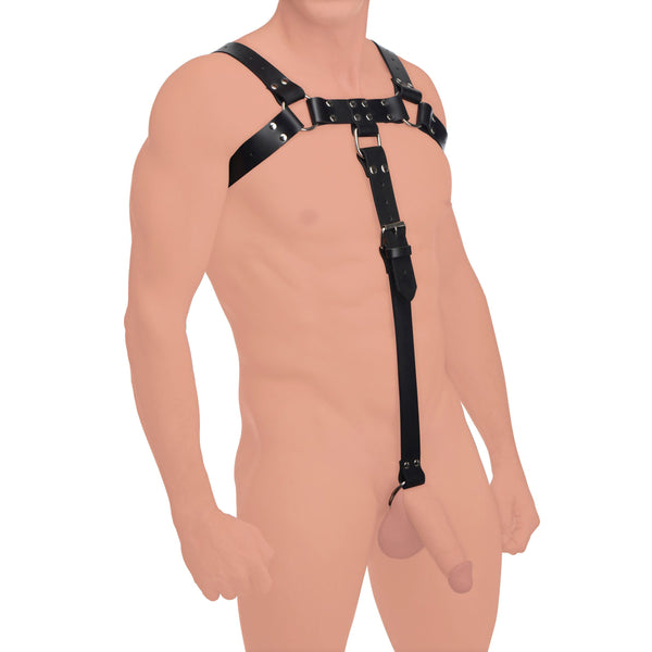 English Bull Dog Harness with Cock Strap – cock ring, Metal