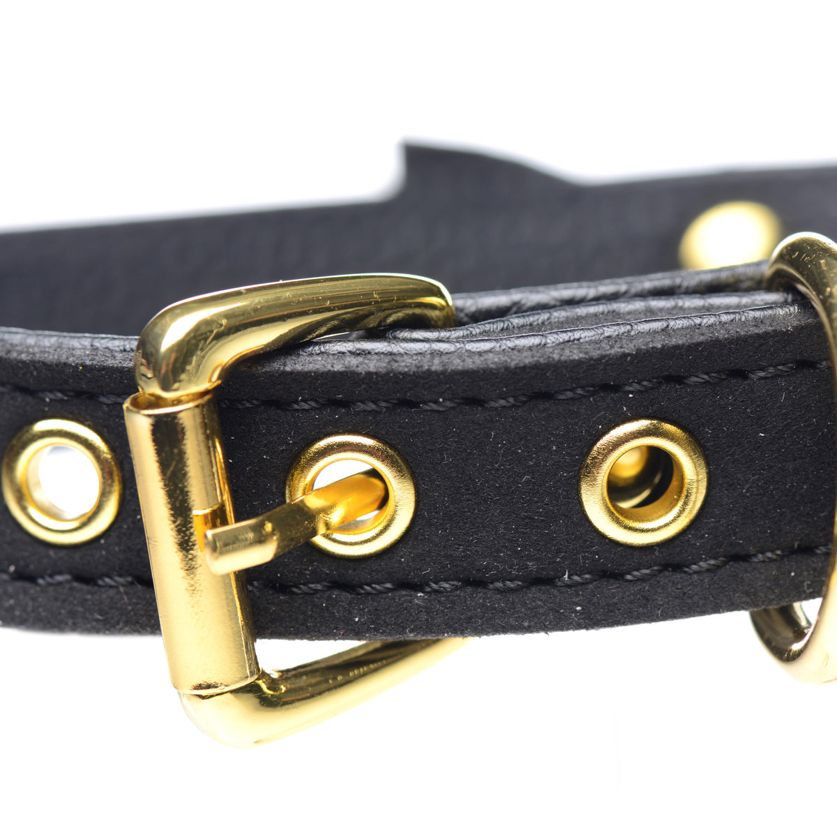 Golden Kitty Cat Bell Collar - Black/Gold – collar and leash, Metal (view 3)