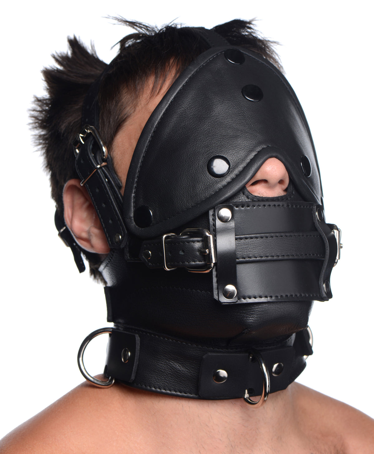 Leather Head Harness with Removeable Gag, Metal