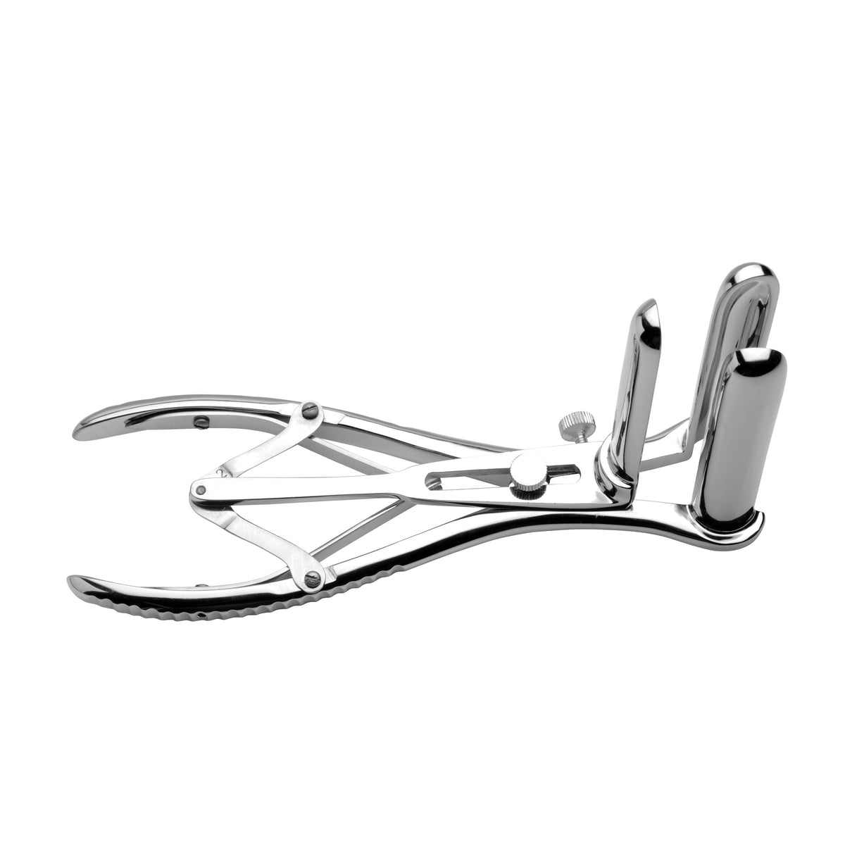 Isabella Sinclaire Anal Speculum, Metal (view 2)