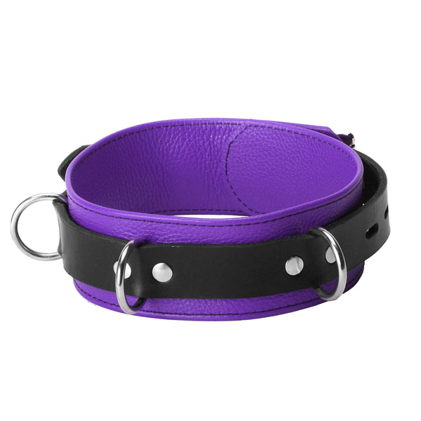 Strict Leather Deluxe Locking Collar - Purple and Black – collar and leash, Leather