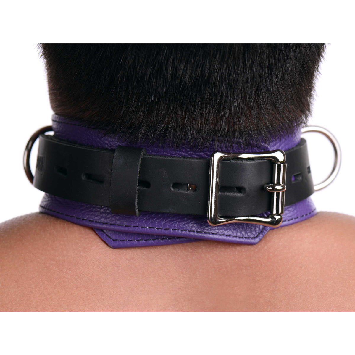 Strict Leather Deluxe Locking Collar - Purple and Black – collar and leash, Leather (view 4)
