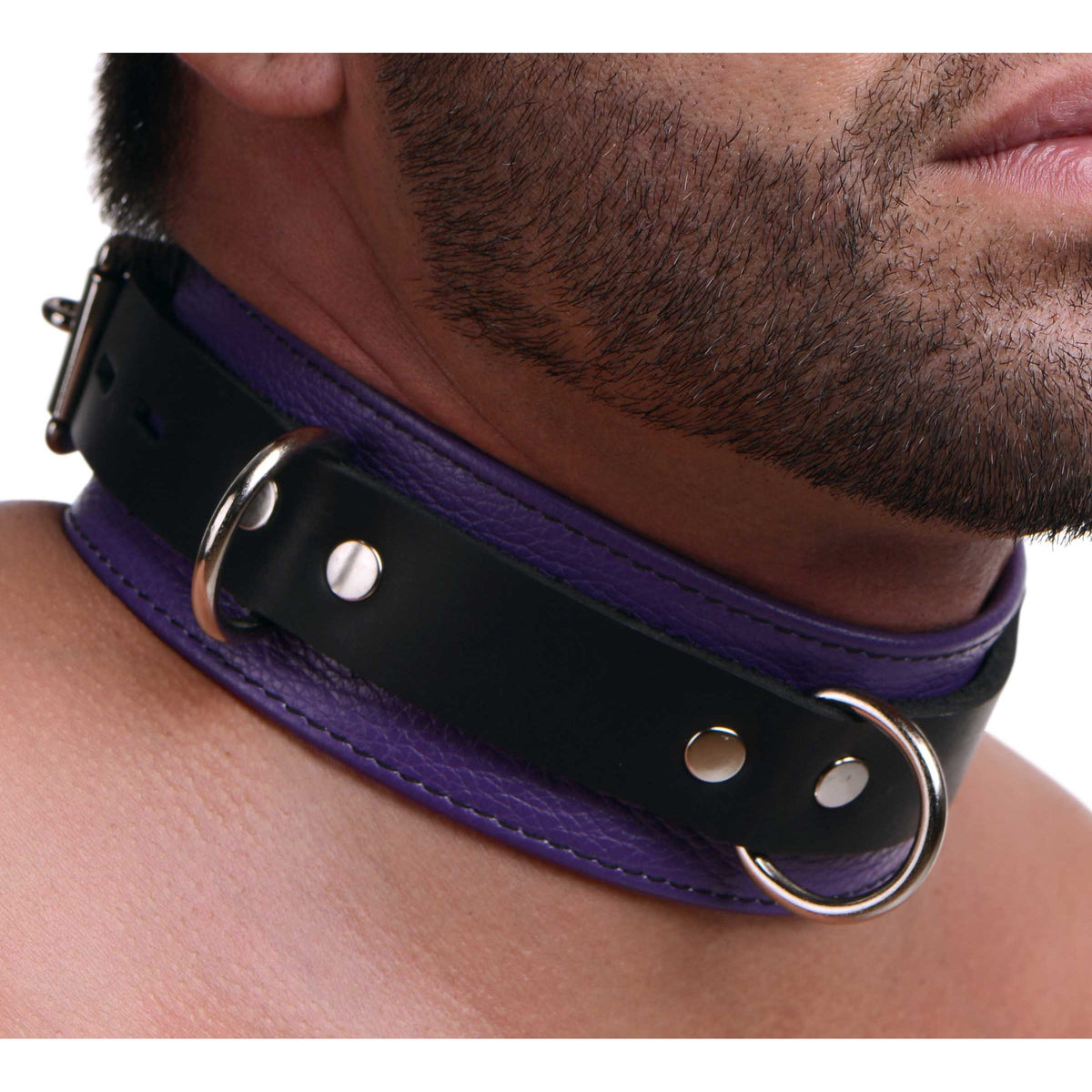 Strict Leather Deluxe Locking Collar - Purple and Black – collar and leash, Leather (view 3)