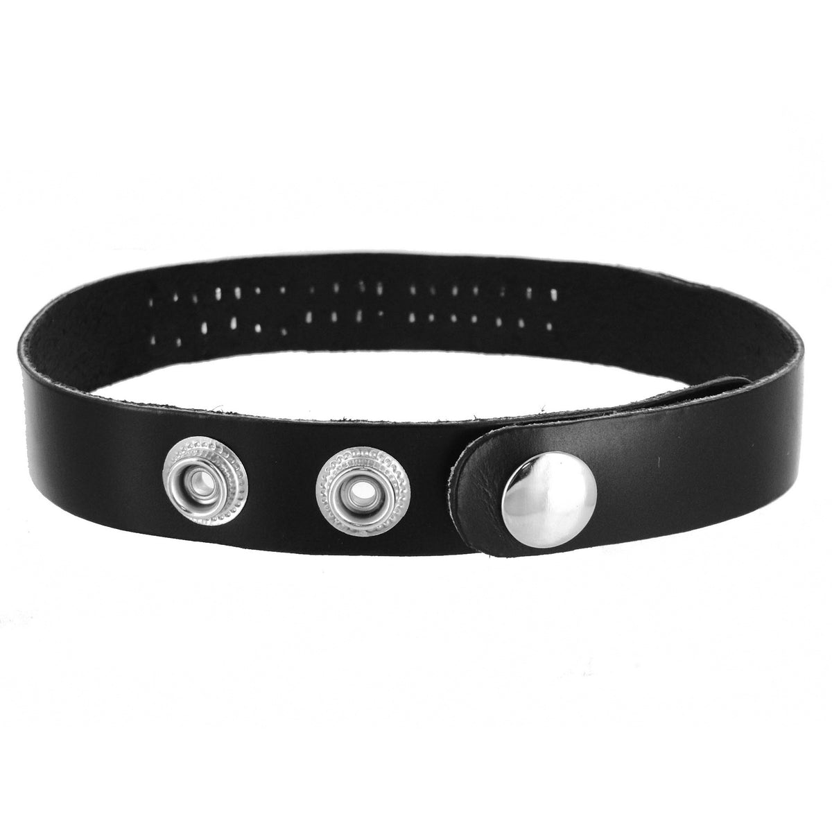 Leather ID Collars- Slut – collar and leash, Metal (view 2)