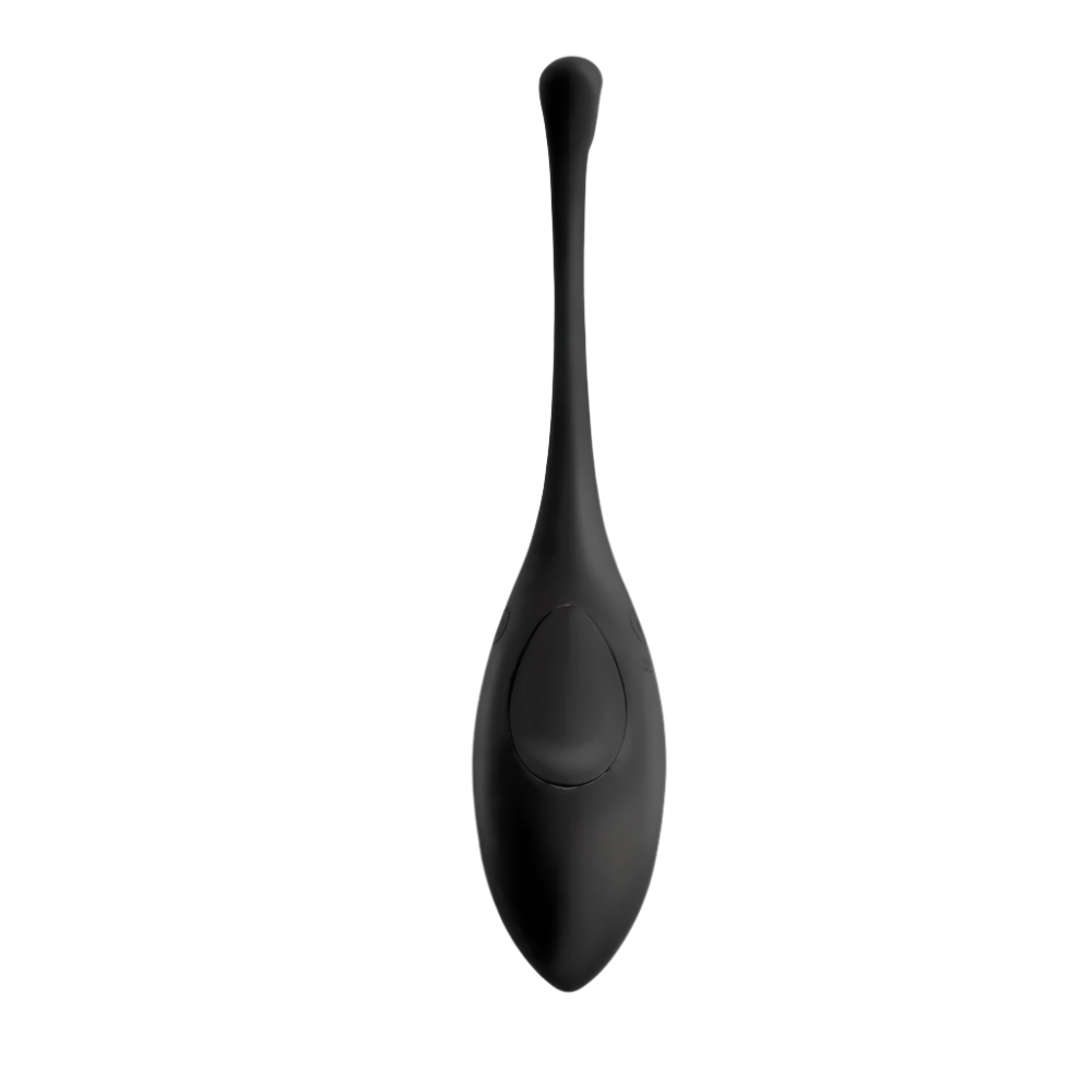 Remote control vibrators in black, egg design, top view