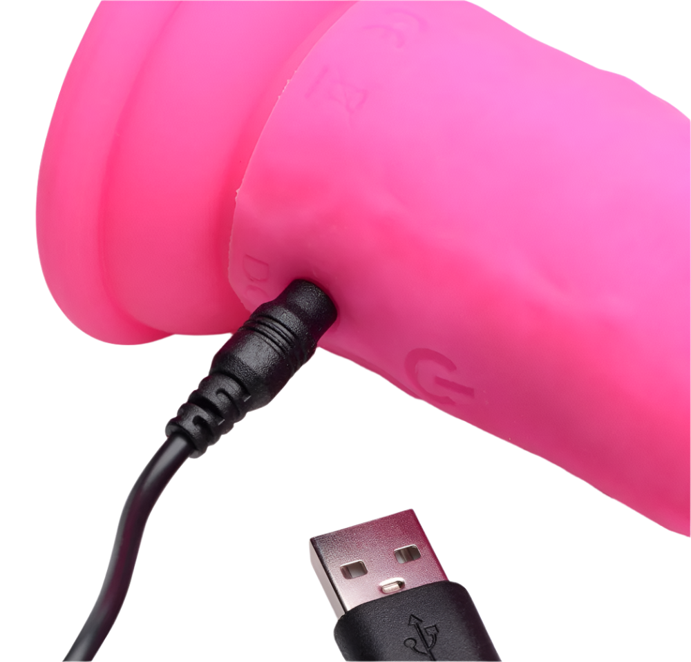 Realistic Vibrators in pink, 28-speed, silicone with remote, top view with USB Charger