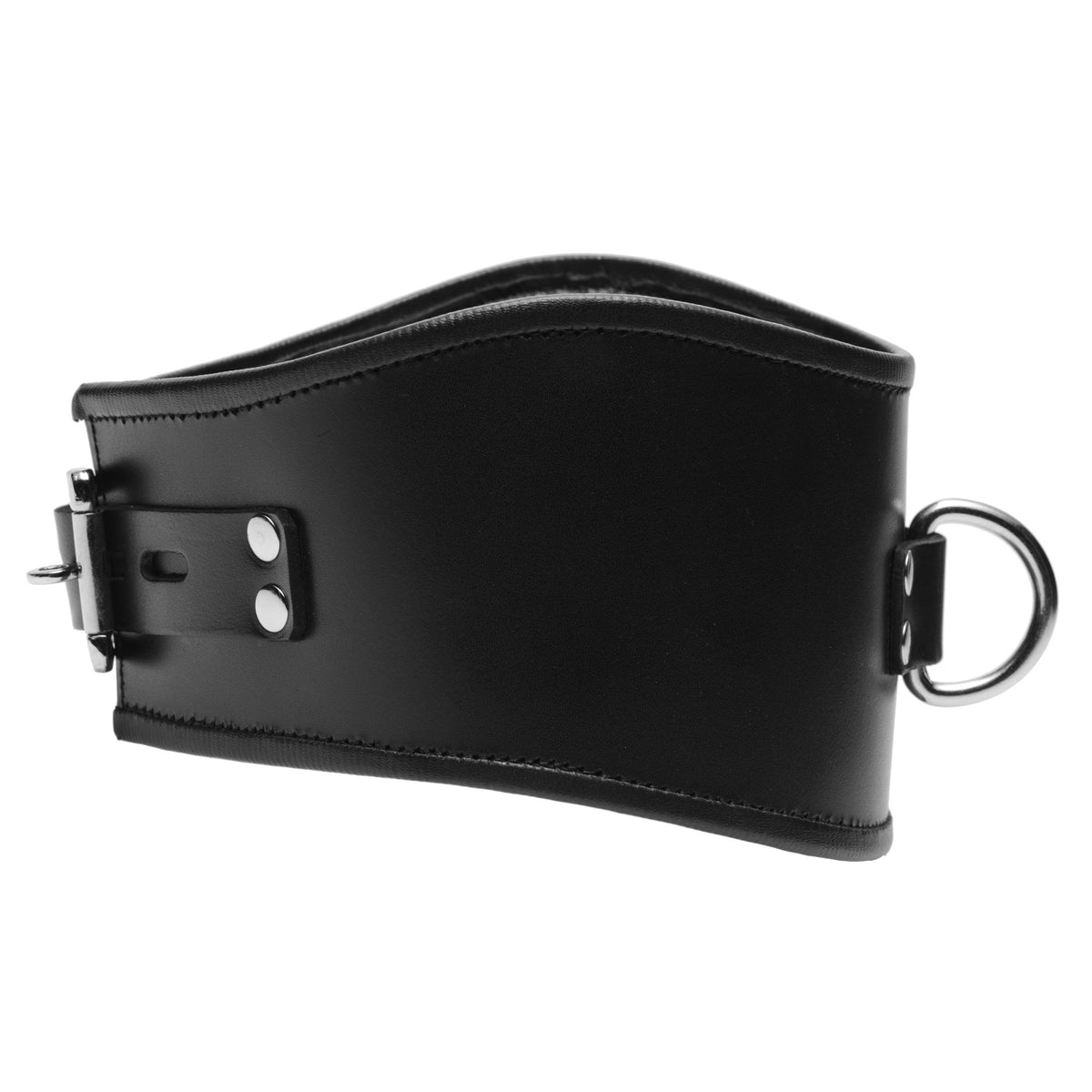 Padded Leather Locking Posture Collar – collar and leash, Metal (view 3)