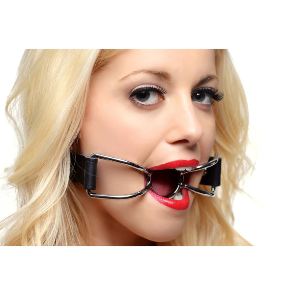 Spider Open Mouth Gag, Metal